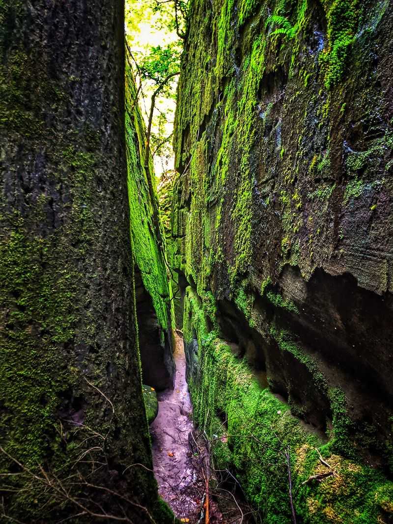 People Live In Alabama For Years And Still Miss These 9 Enchanting Places - Decor Hint Dismals Canyon, Phil Campbell