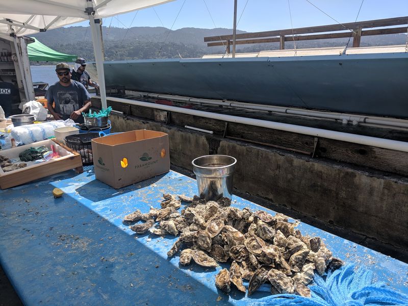 The Oysters Come From Their Own Family Farm