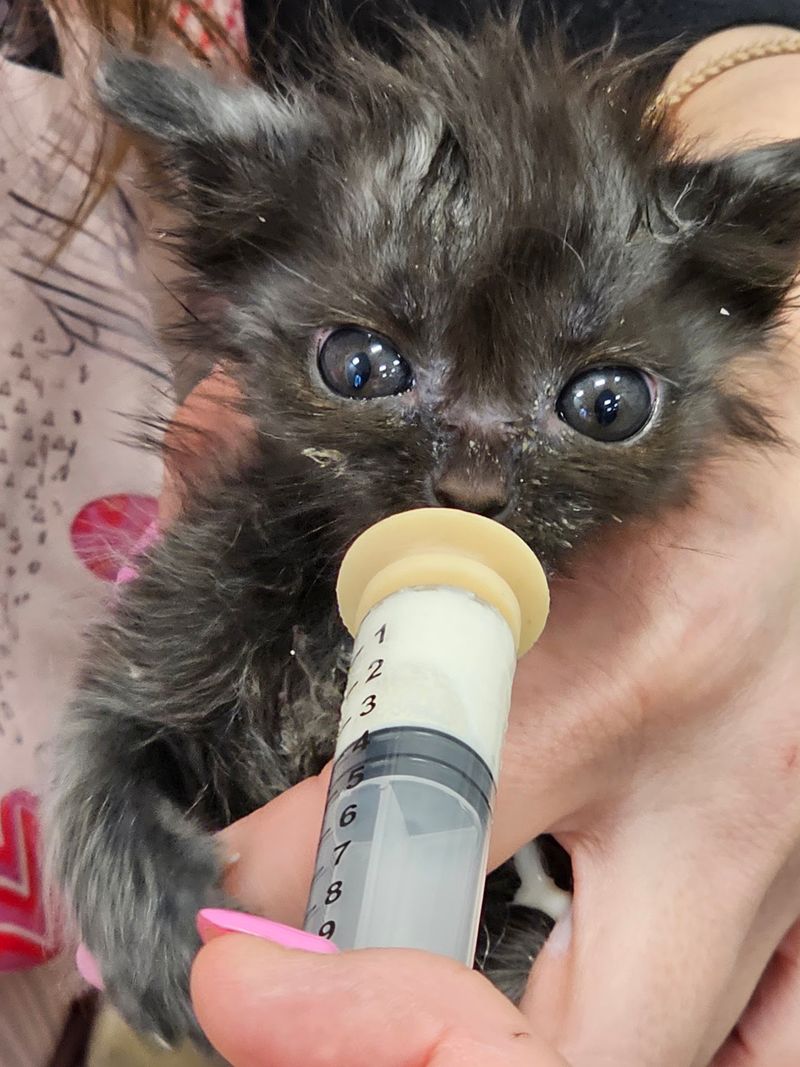 Every New Arrival Receives A Health Assessment
