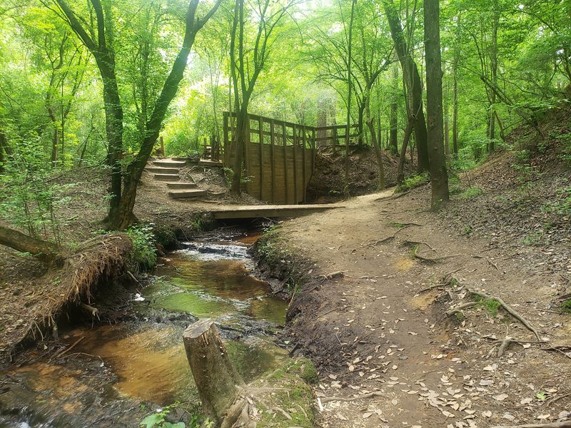 The Bird Trail And Its Restored Prairie