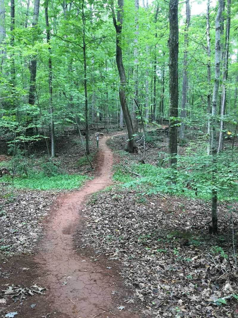 George And Julia Brumley Family Nature Preserve, Chapel Hill