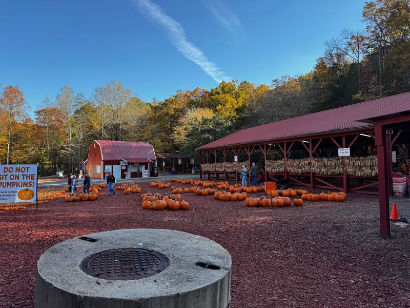 Free Admission And Free Parking