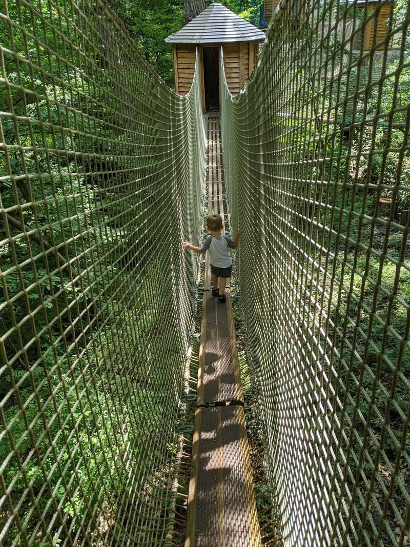 Climb Into The Treetops At Arbor Day Farm