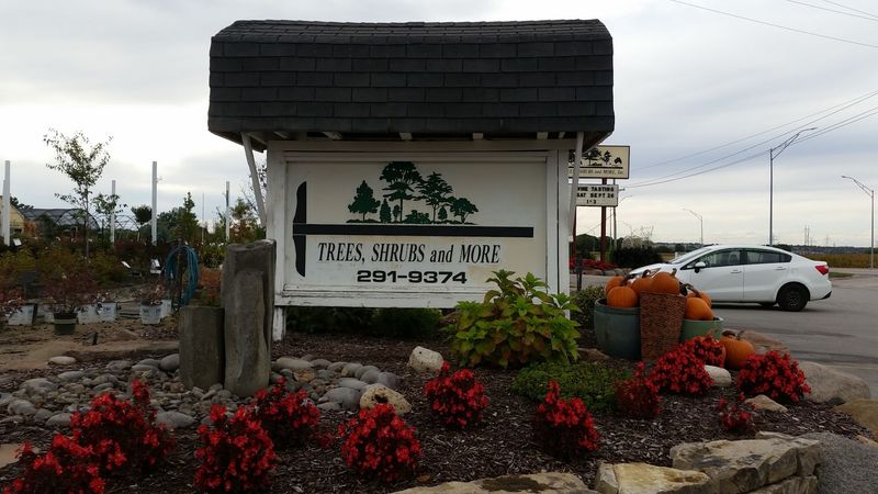 Pick Fresh Blackberries And Early Apples At This Nebraska Farm This August - Decor Hint Blackberry Rows Worth The Detour