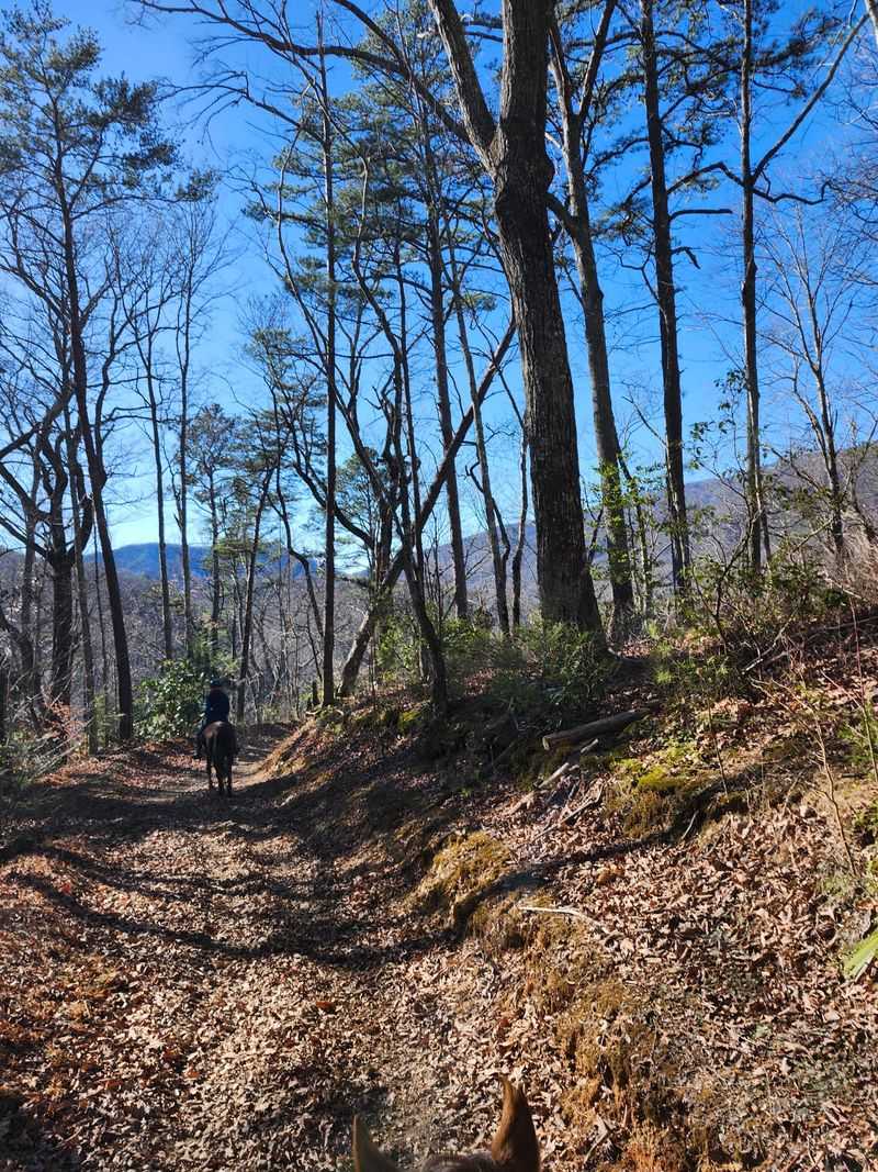 Creeks, Climbs And Ridgeline Views