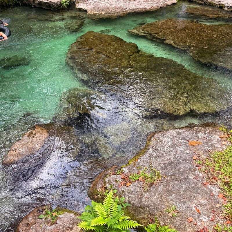The History Behind The Springs