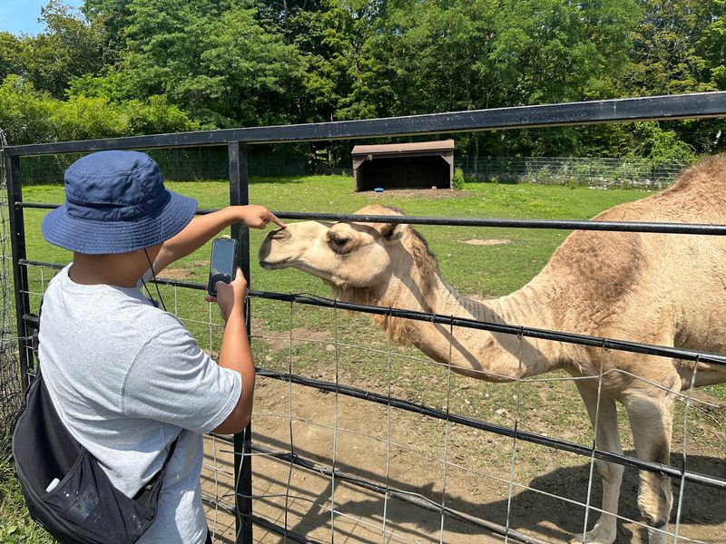 Conservation Sits Behind All The Family Fun