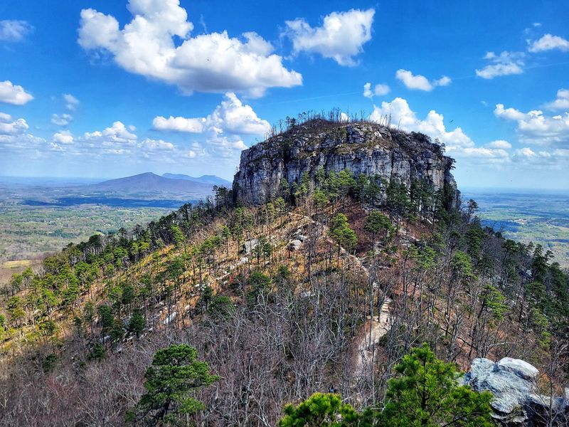 Sassafras Trail
