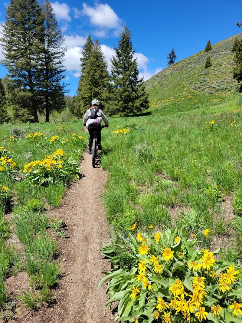 10 Idaho Hikes Where You'll Probably See More Wildlife Than People - Decor Hint Sawtooth Wilderness Backcountry Trail, Stanley