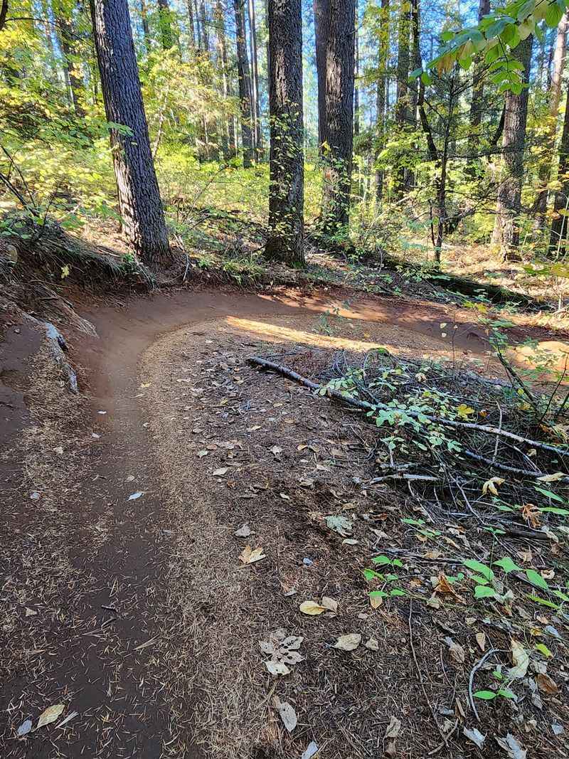 This Historic California Gold Rush Town Is Surrounded By Miles Of Wild Mountain Biking Trails - Decor Hint Hoot Trail Delivers The Fast, Flowy Fun