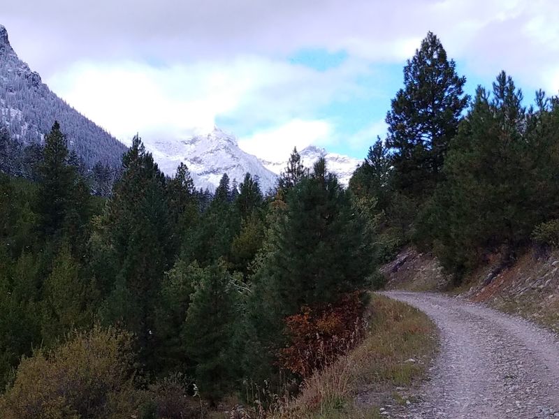 Understand Why This Wilderness Feels So Wild