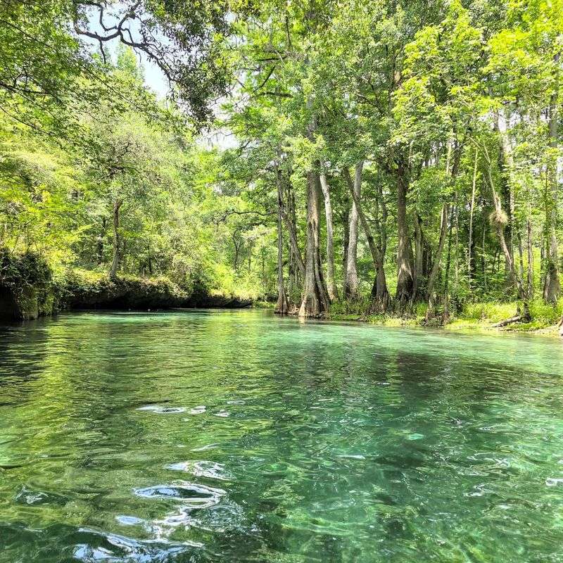 Conservation Keeps It Pristine