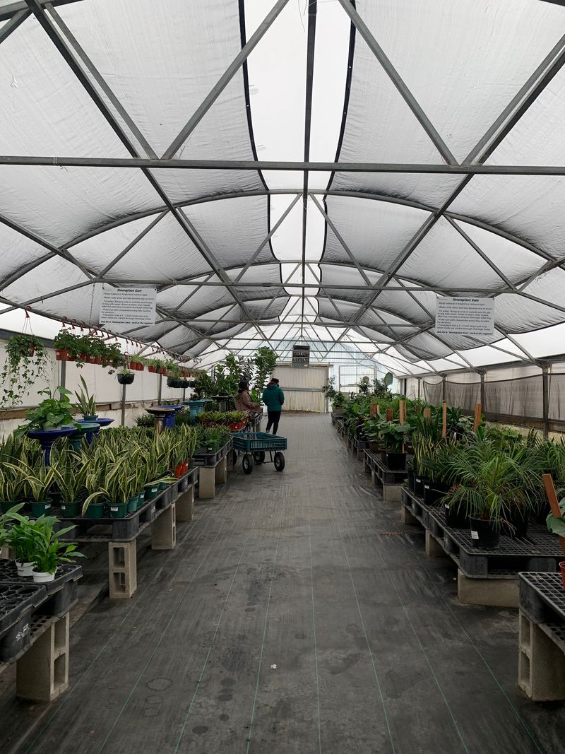 Inside The Tropical Greenhouse