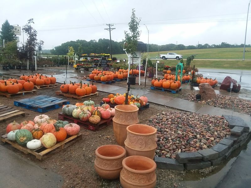 Pick Fresh Blackberries And Early Apples At This Nebraska Farm This August - Decor Hint Mulch, Rock, And Bulk Goods