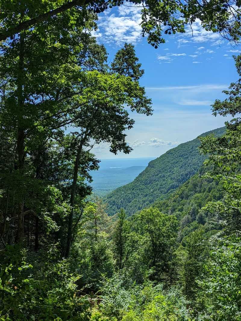 Codfish Point Rewards The Curious Hiker