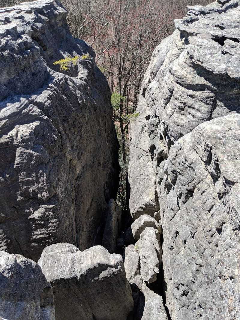 McCloud Mountain, Near Chattanooga