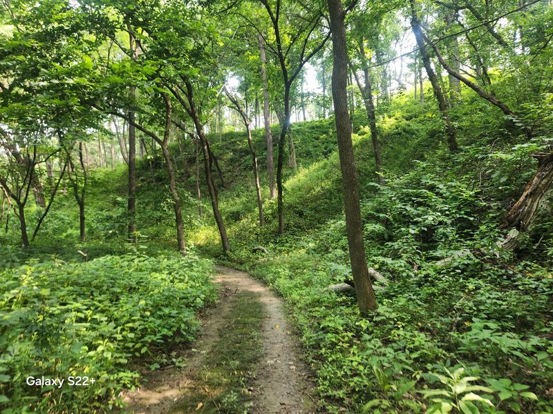Indian Cave State Park, Shubert