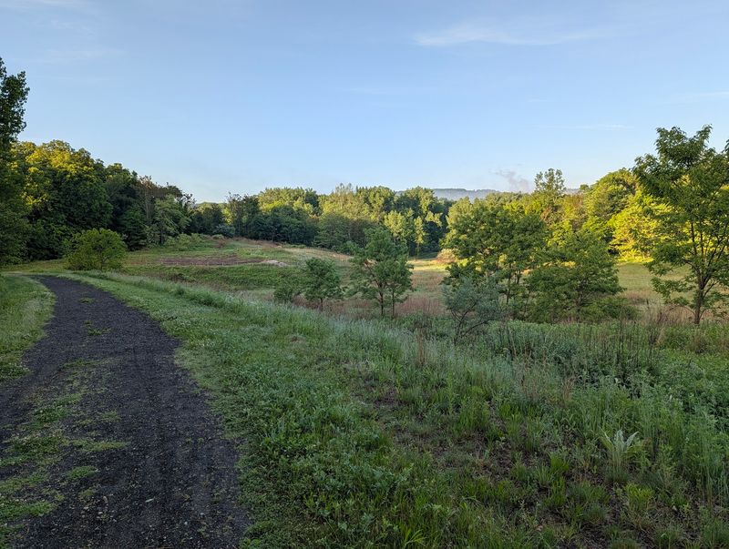 Long Quiet Stretches Through Woods And Wetlands
