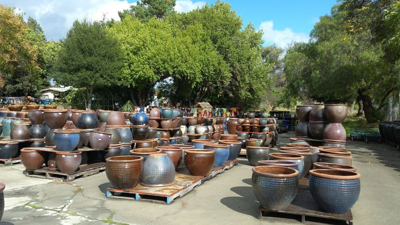 Planters That Start At Two Inches And Reach Forty