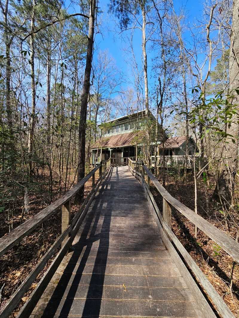 This South Carolina Swamp Tour Takes You Into A World Of Snakes And More - Decor Hint Planning Your Escape