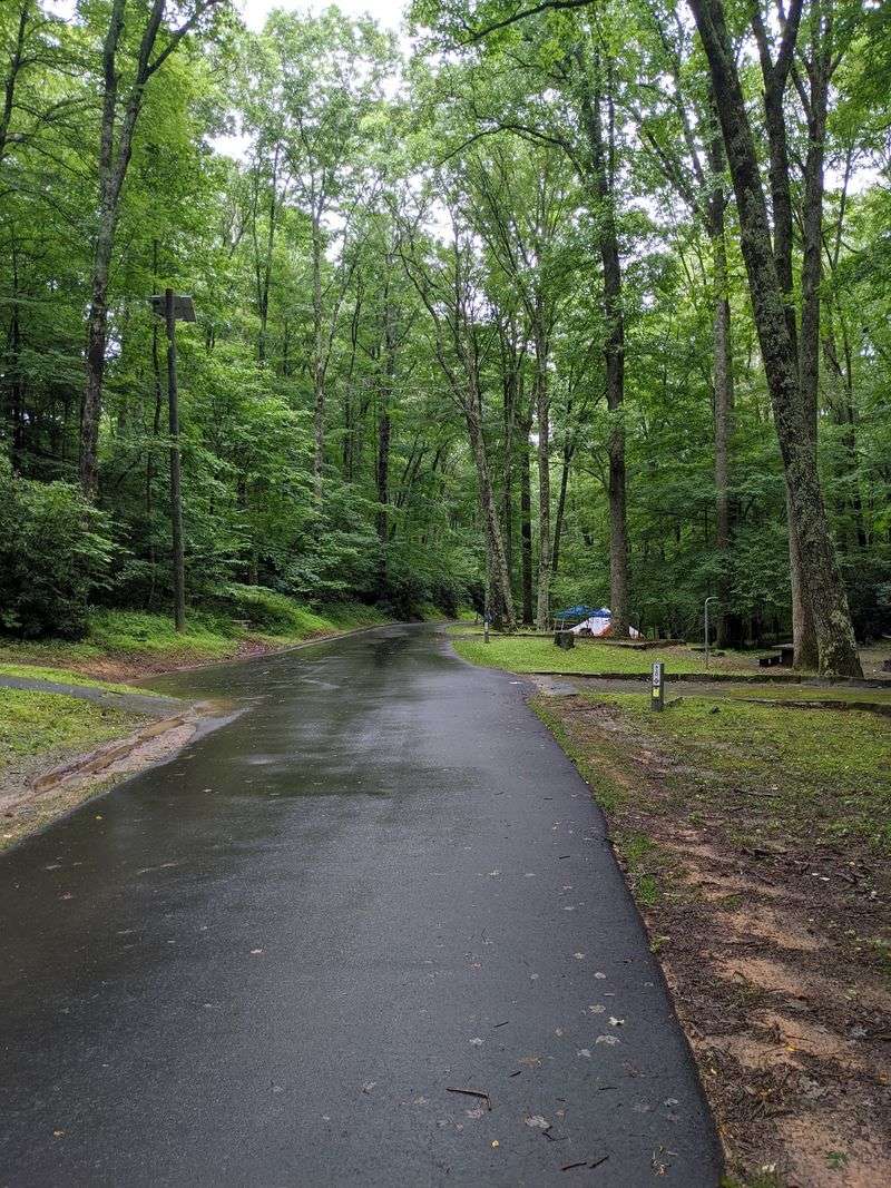 Boone Fork Trail, Julian Price Memorial Park
