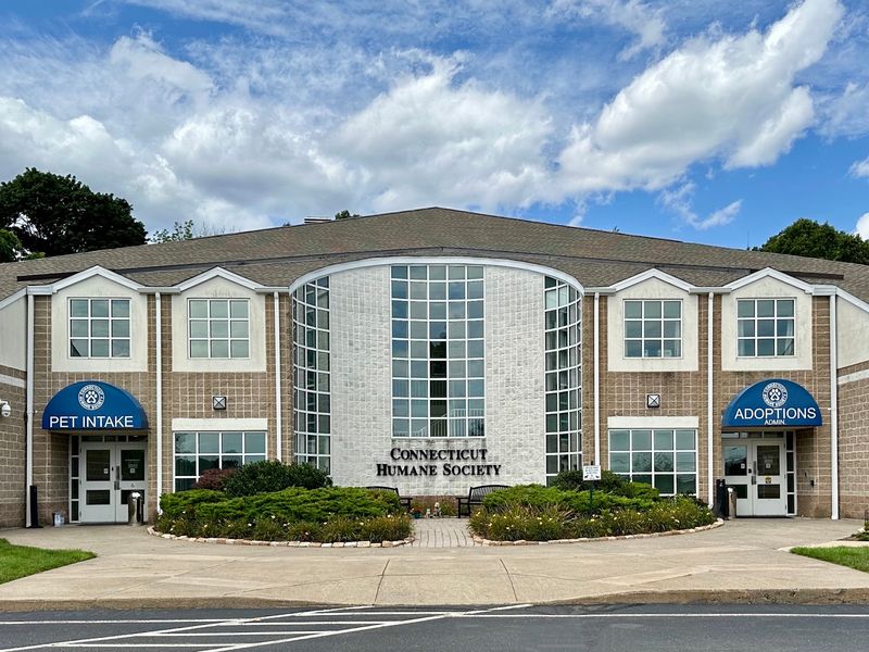 Connecticut Humane Society, Newington