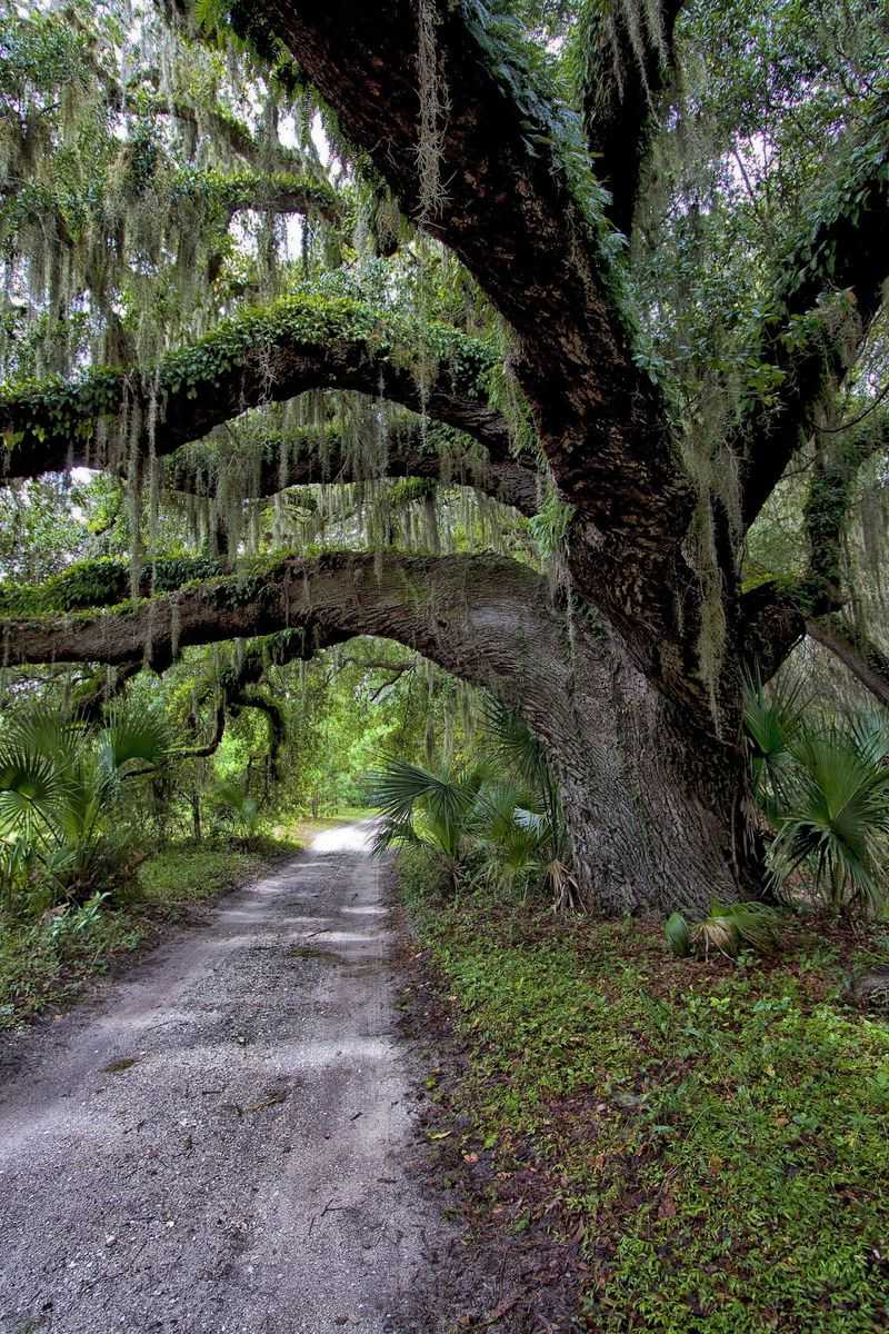 Cumberland Island National Seashore, St. Marys