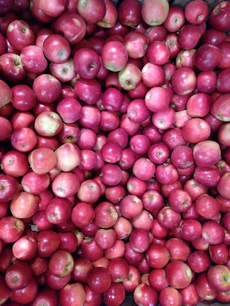 The Long Picking Season Can Stretch Into Late October