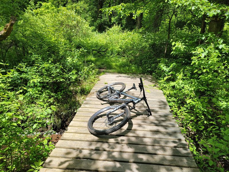 Braille Trail At Scantic River State Park, Broad Brook