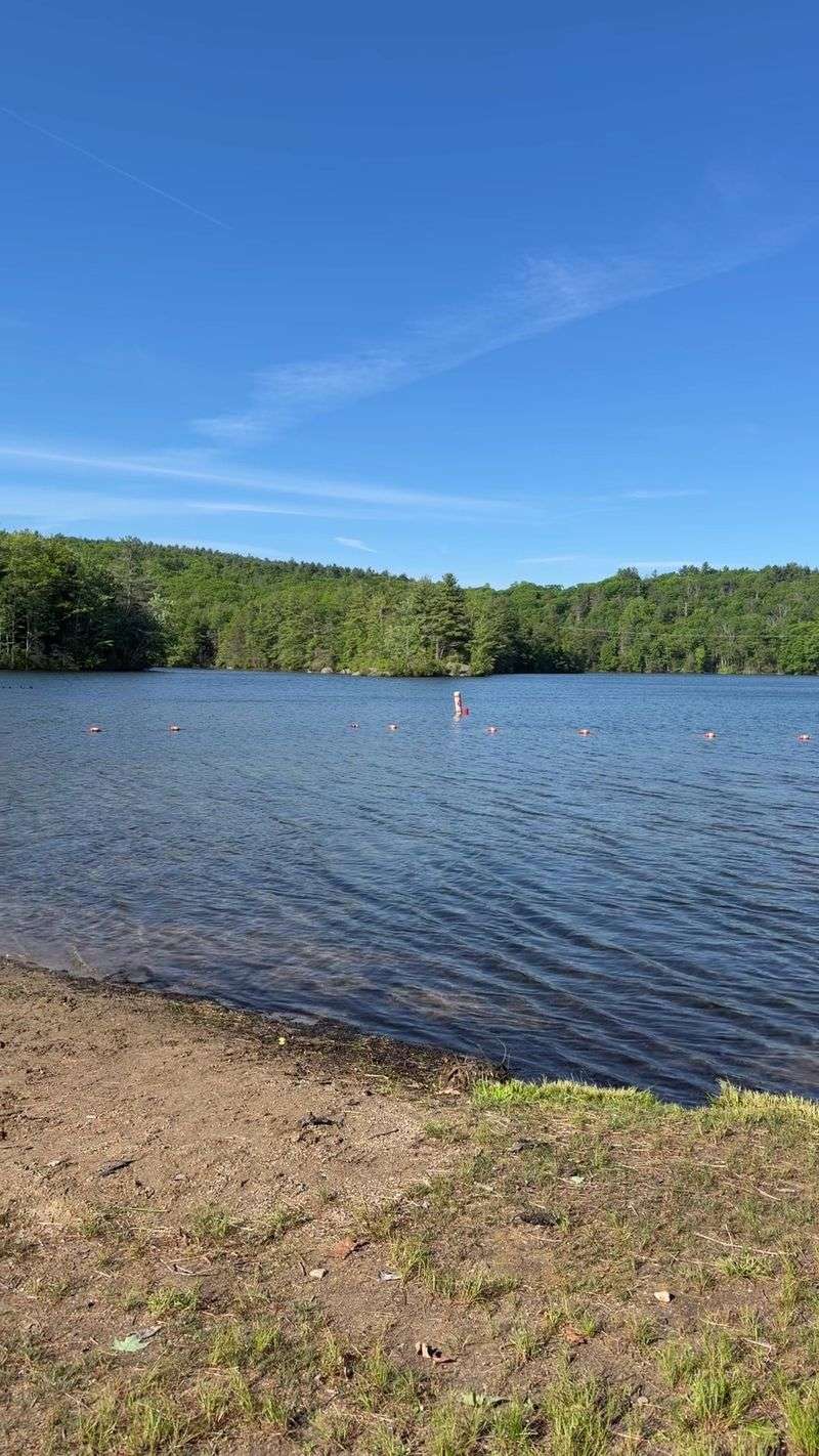Spend The Day Swimming, Kayaking, And Hiking At One Connecticut Outdoor Escape - Decor Hint Swimming Is A Summer Favorite Here
