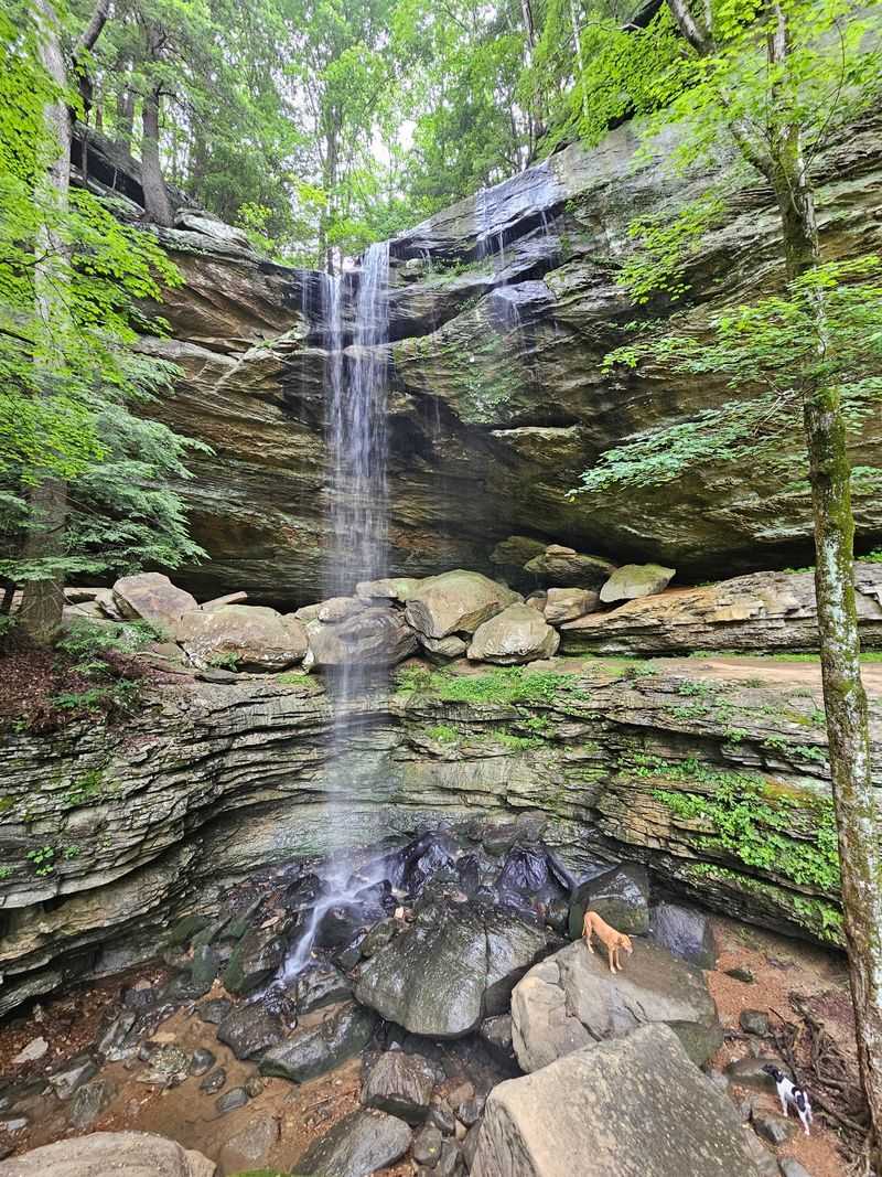 Anglin Falls Trailhead, Mount Vernon
