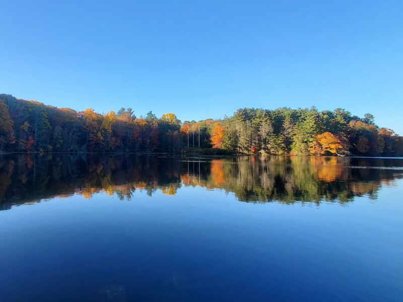Burr Pond State Park, Torrington