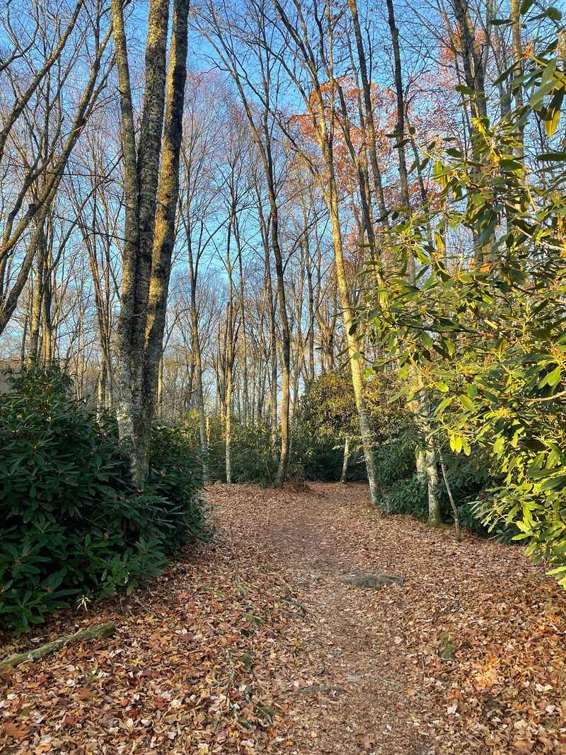 Boone Fork Trail, Near Blowing Rock, North Carolina