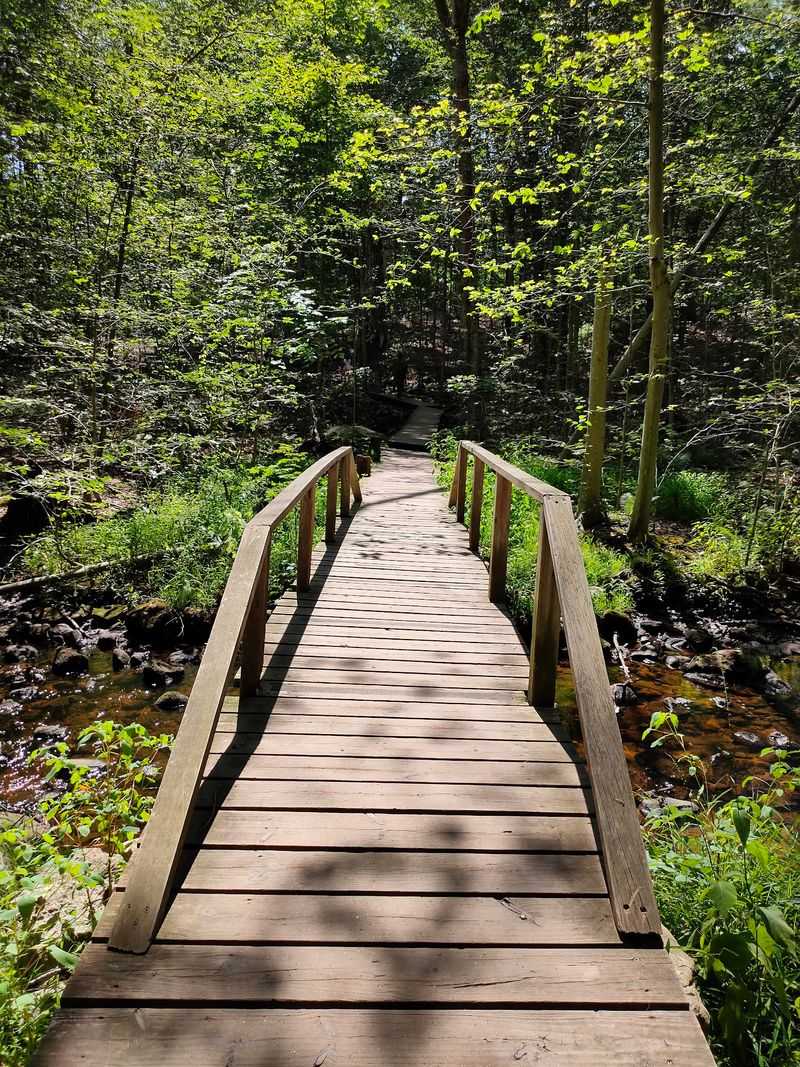 Boardwalks Cross Quiet Red Maple Wetlands