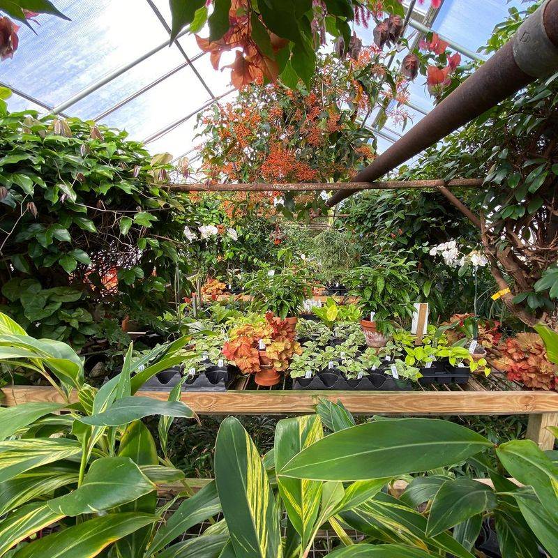 This 19,000-Square-Foot Connecticut Greenhouse Feels Straight Out Of A Fairy Tale - Decor Hint A Year-Round Escape For Serious Plant Lovers