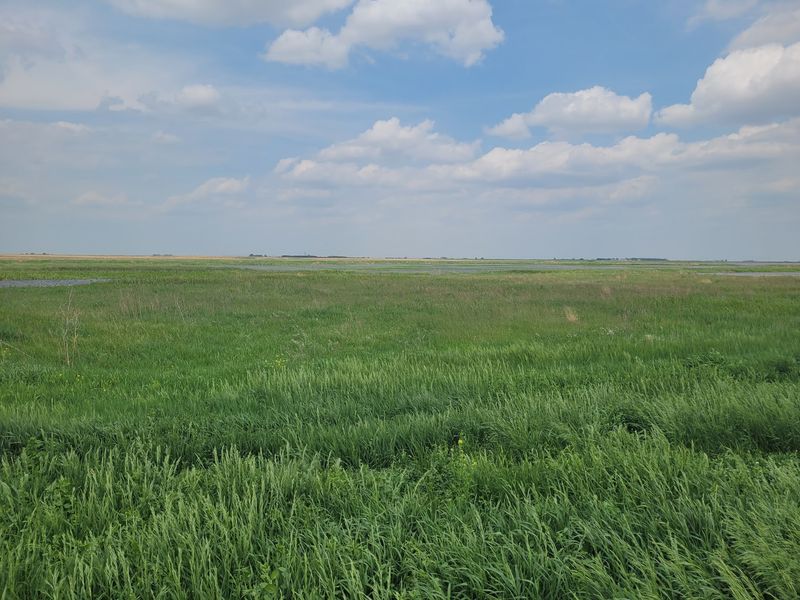 See Nearly 1,000 Acres Of Managed Wetland Habitat