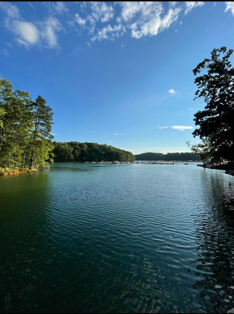 What The Future Of Lake Lanier Actually Looks Like