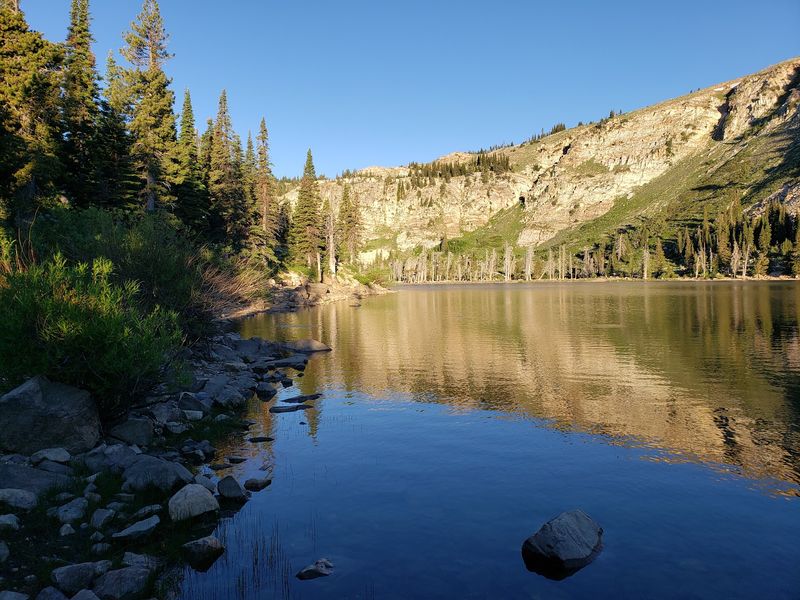Lake Cleveland, Oakley