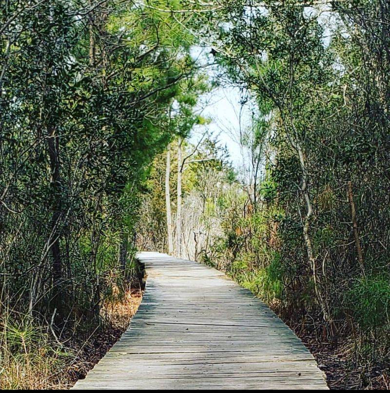 10 Delaware Getaways That Feel Like Quick Escapes Without Topping $50 - Decor Hint James Farm Ecological Preserve