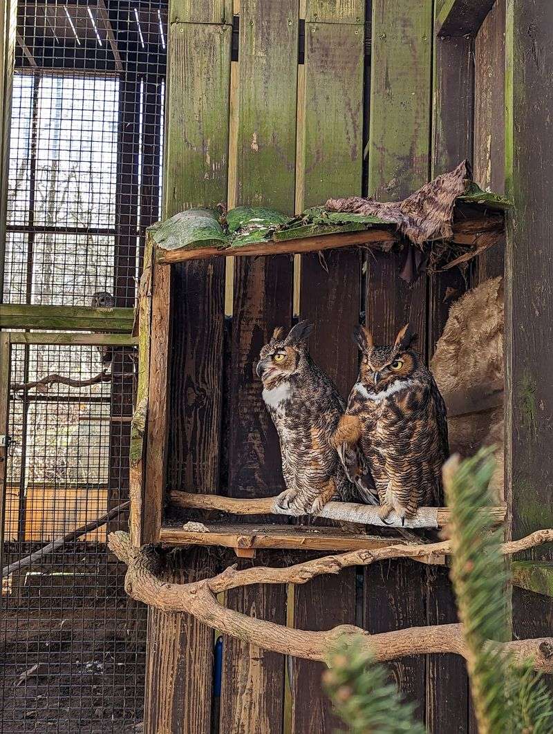 Wildlife Encounters Far Beyond One Exhibit
