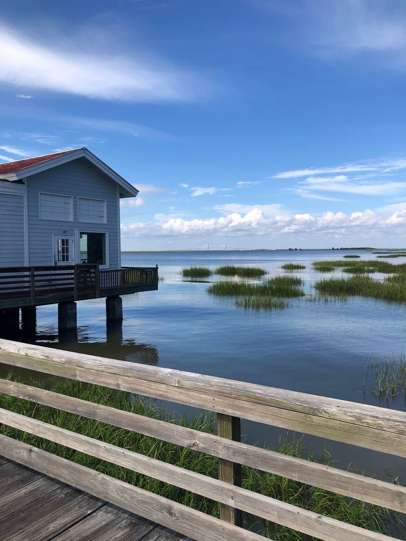 The Bird Watchers Have Good Reason To Worry