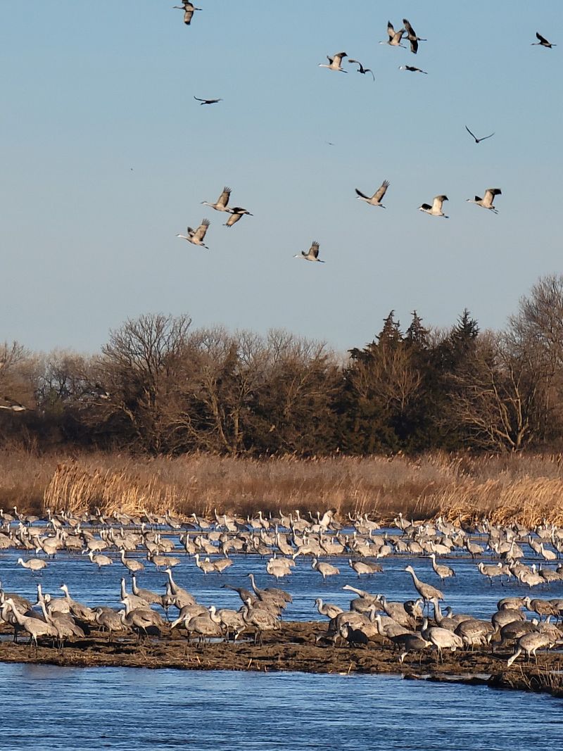 Step Inside A Viewing Station Along The Platte River