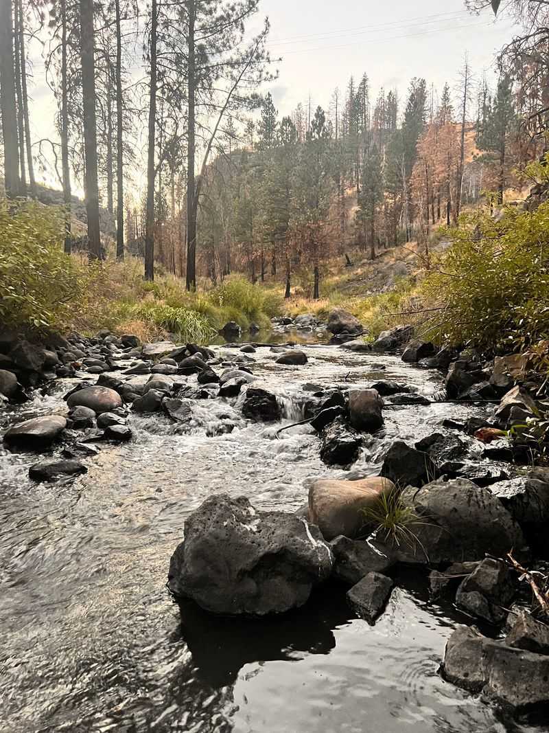Wind Deep Into The Susan River Canyon