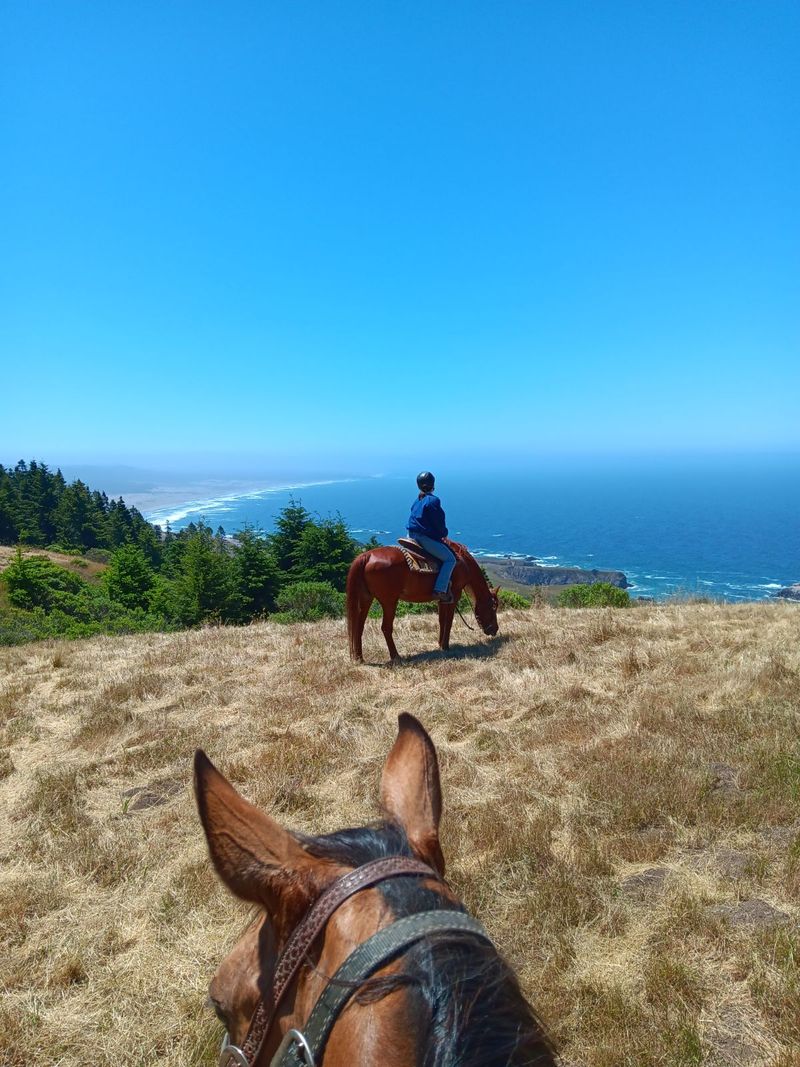 The Ranch Has Been Taking Riders Out For About 40 Years