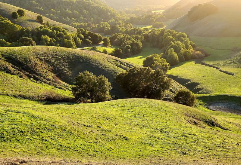Briones Crest Trail, Briones Regional Park, Contra Costa County