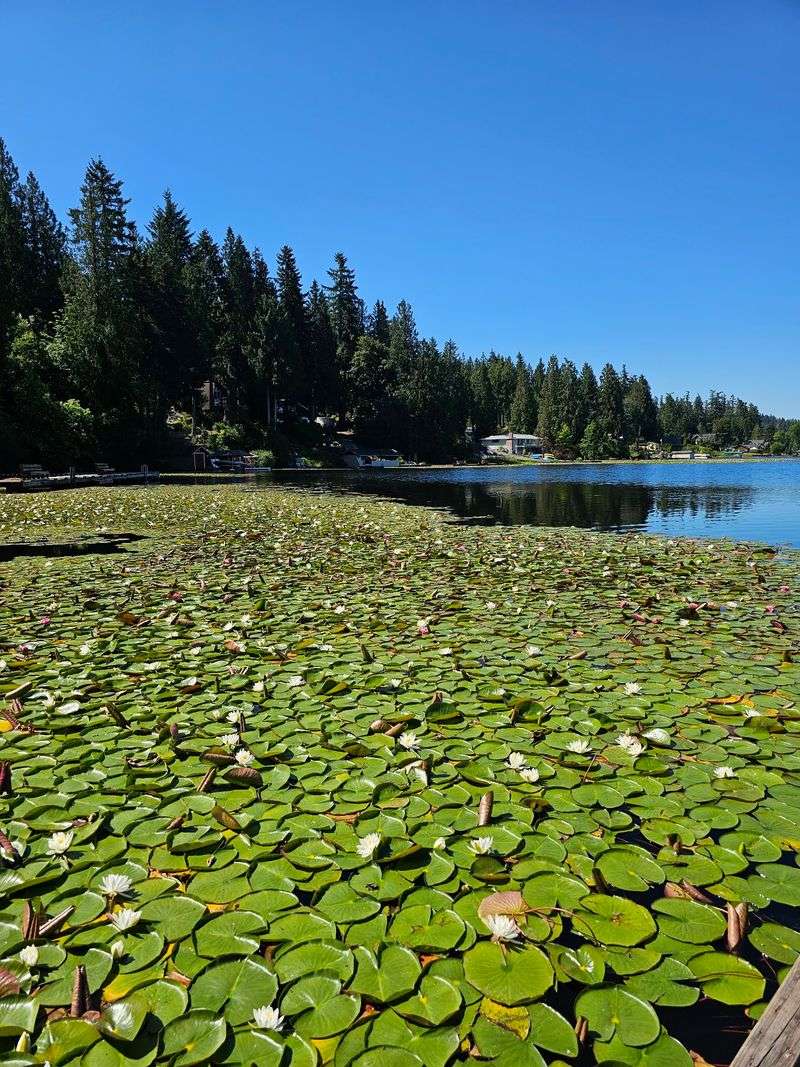 Camp Lakeview, Graham