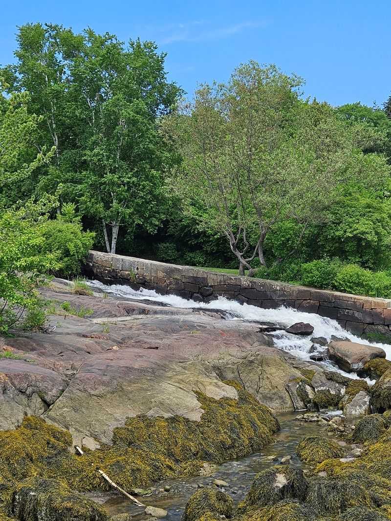 Mills, Dams, And Working History
