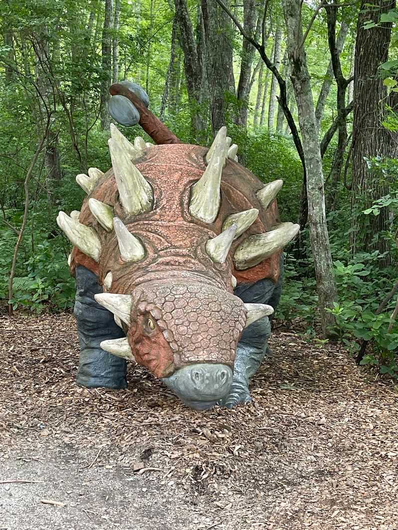 The Enchanting Connecticut Dinosaur Attraction That Feels Straight Out Of Jurassic Park - Decor Hint Fossils And Geology Beyond The Main Attractions
