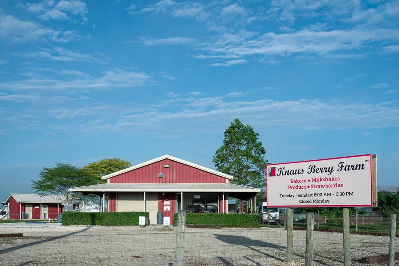 Knaus Berry Farm, Miami
