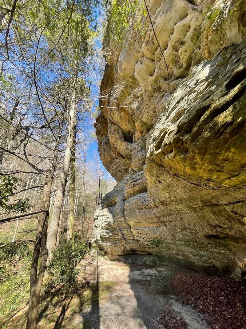 Pogue Creek Canyon State Natural Area, Near Jamestown
